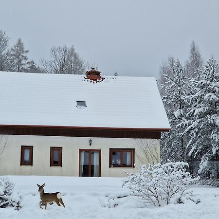 Dom Na Pstraznicy Villa Kudowa Zdroj Exterior photo