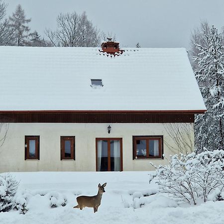 Dom Na Pstraznicy Villa Kudowa Zdroj Exterior photo