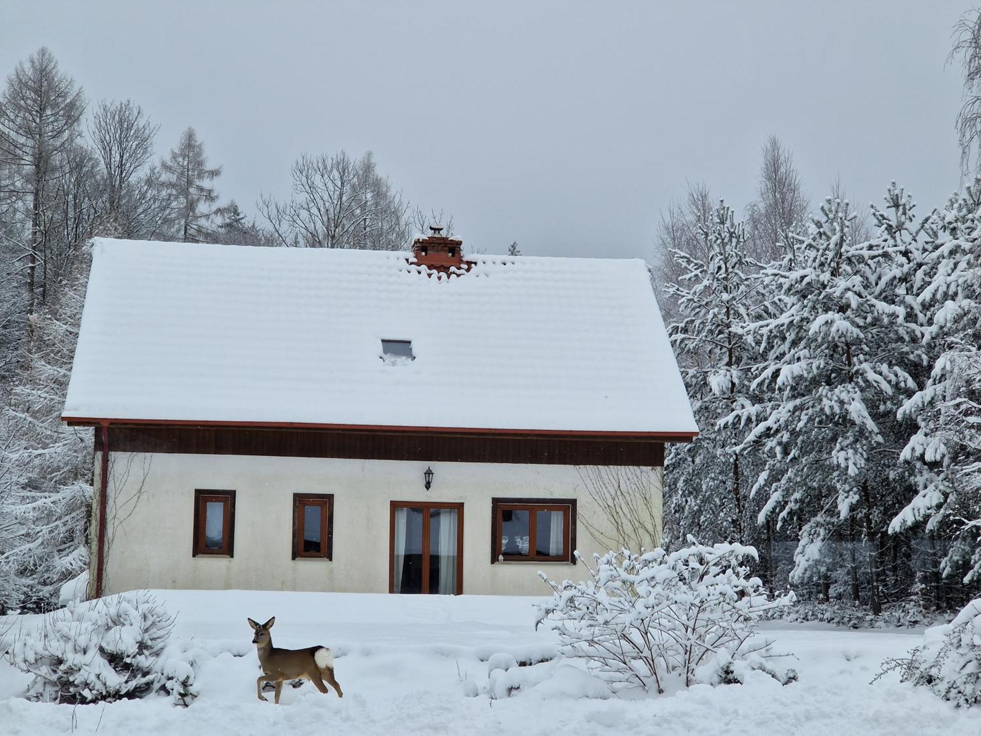Dom Na Pstraznicy Villa Kudowa Zdroj Exterior photo