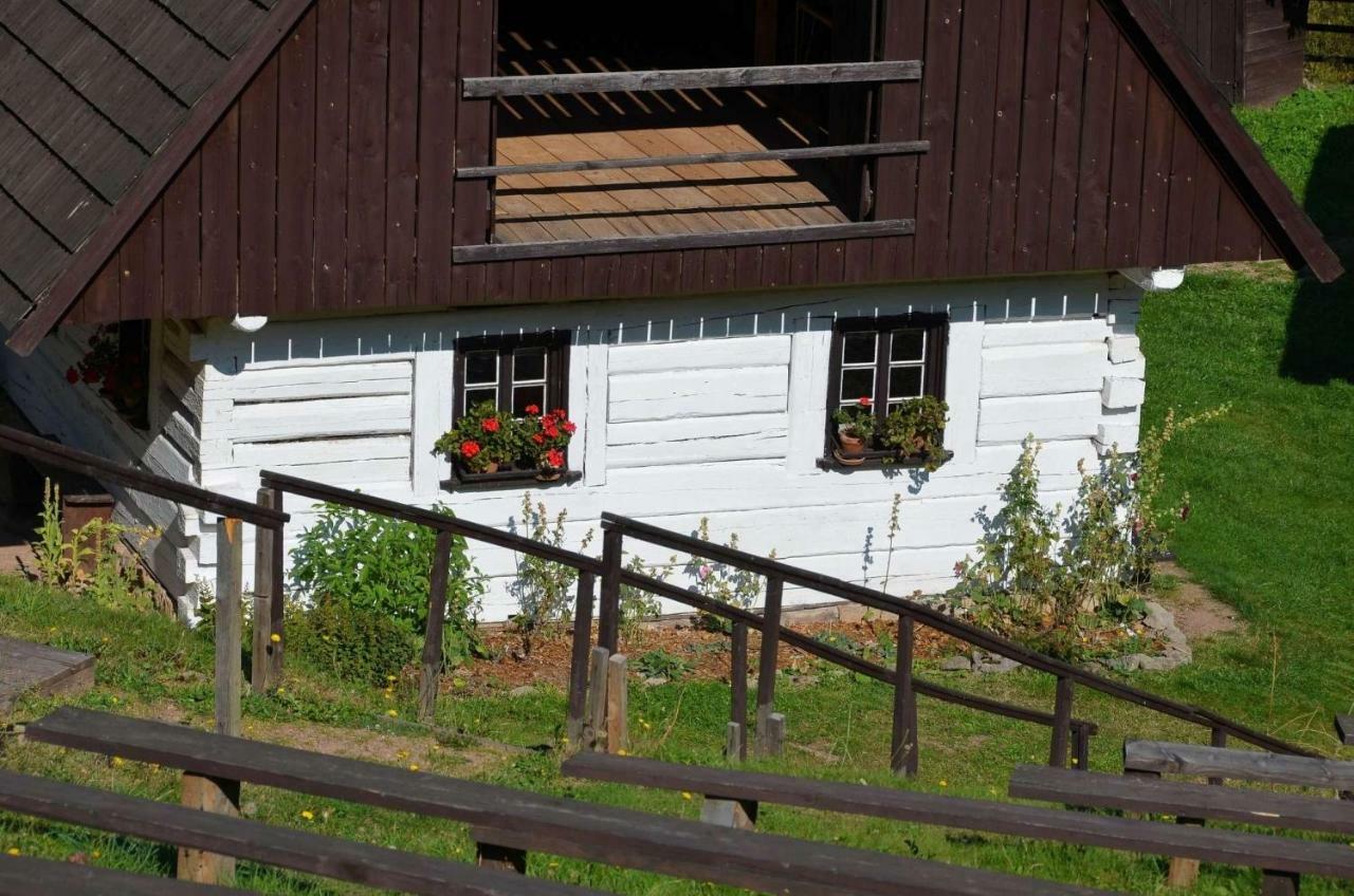Dom Na Pstraznicy Villa Kudowa Zdroj Exterior photo